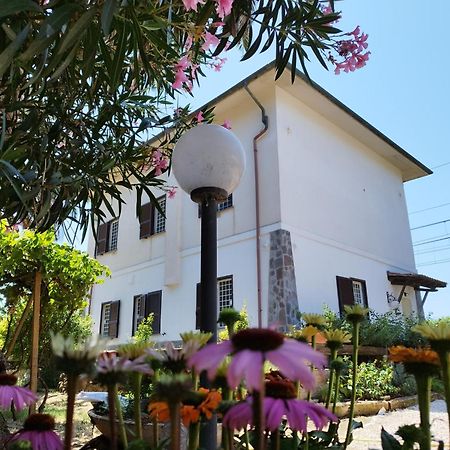 Bed and Breakfast La Domus Di Cosa Ansedónia Zewnętrze zdjęcie