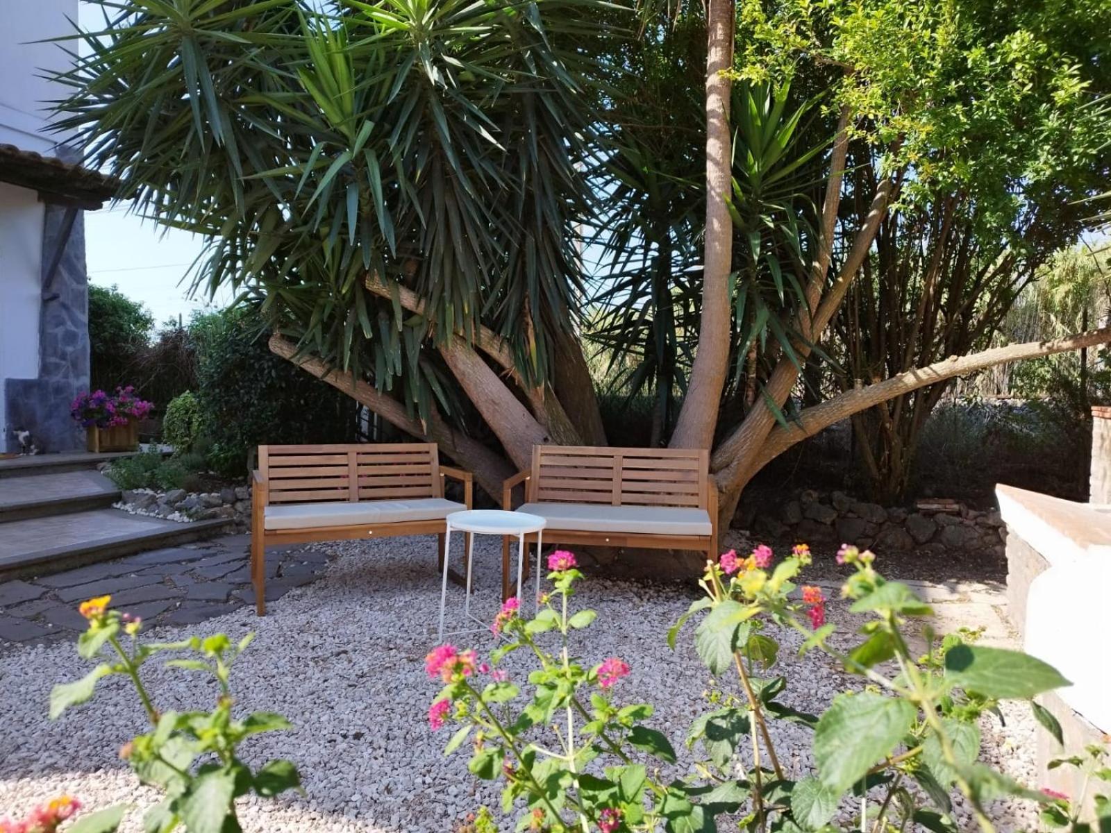 Bed and Breakfast La Domus Di Cosa Ansedónia Zewnętrze zdjęcie