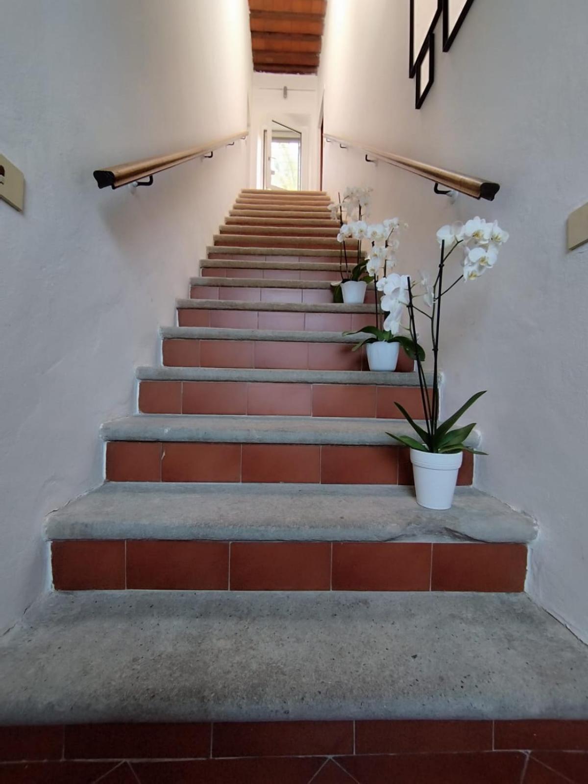 Bed and Breakfast La Domus Di Cosa Ansedónia Zewnętrze zdjęcie