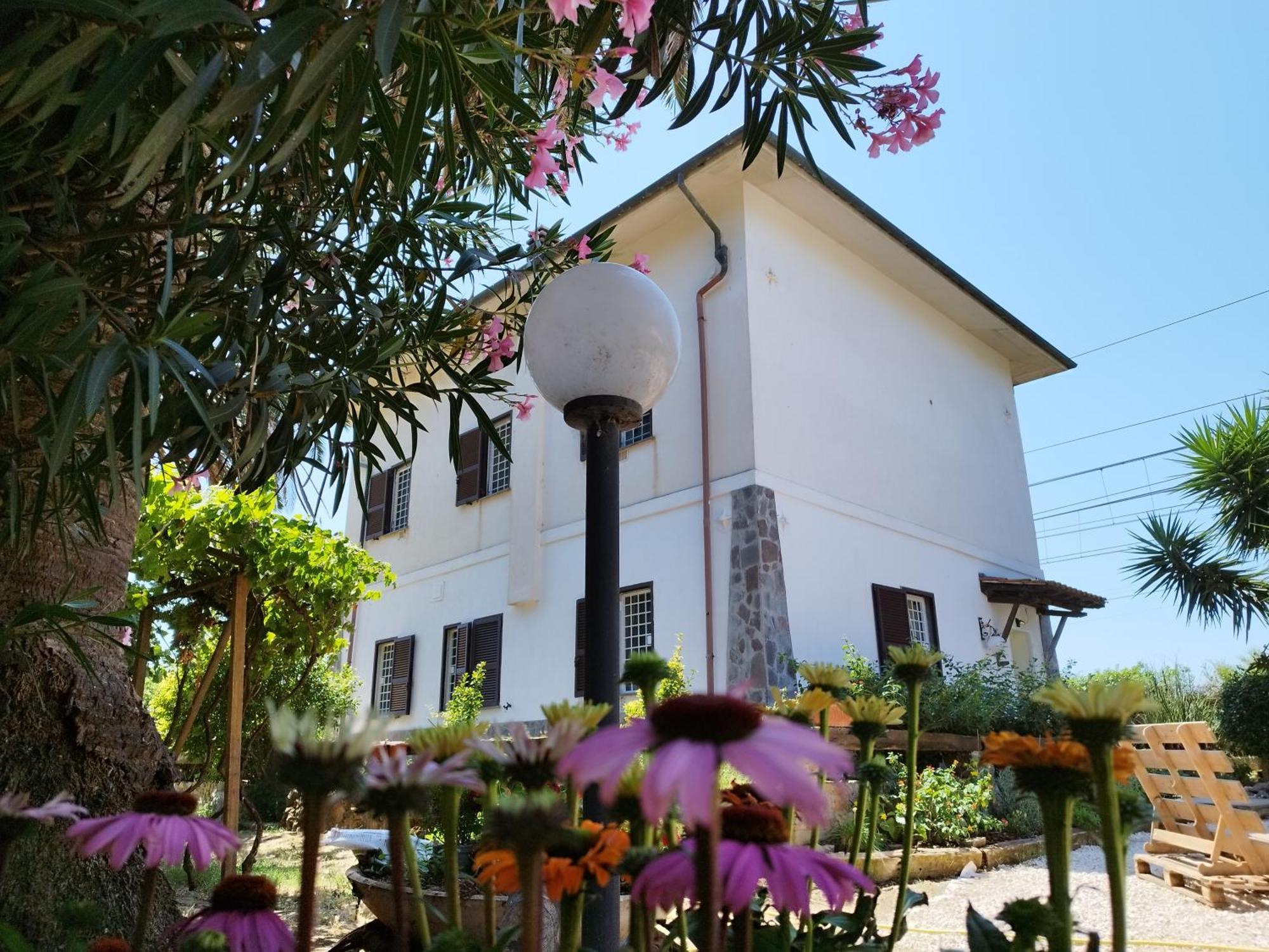 Bed and Breakfast La Domus Di Cosa Ansedónia Zewnętrze zdjęcie