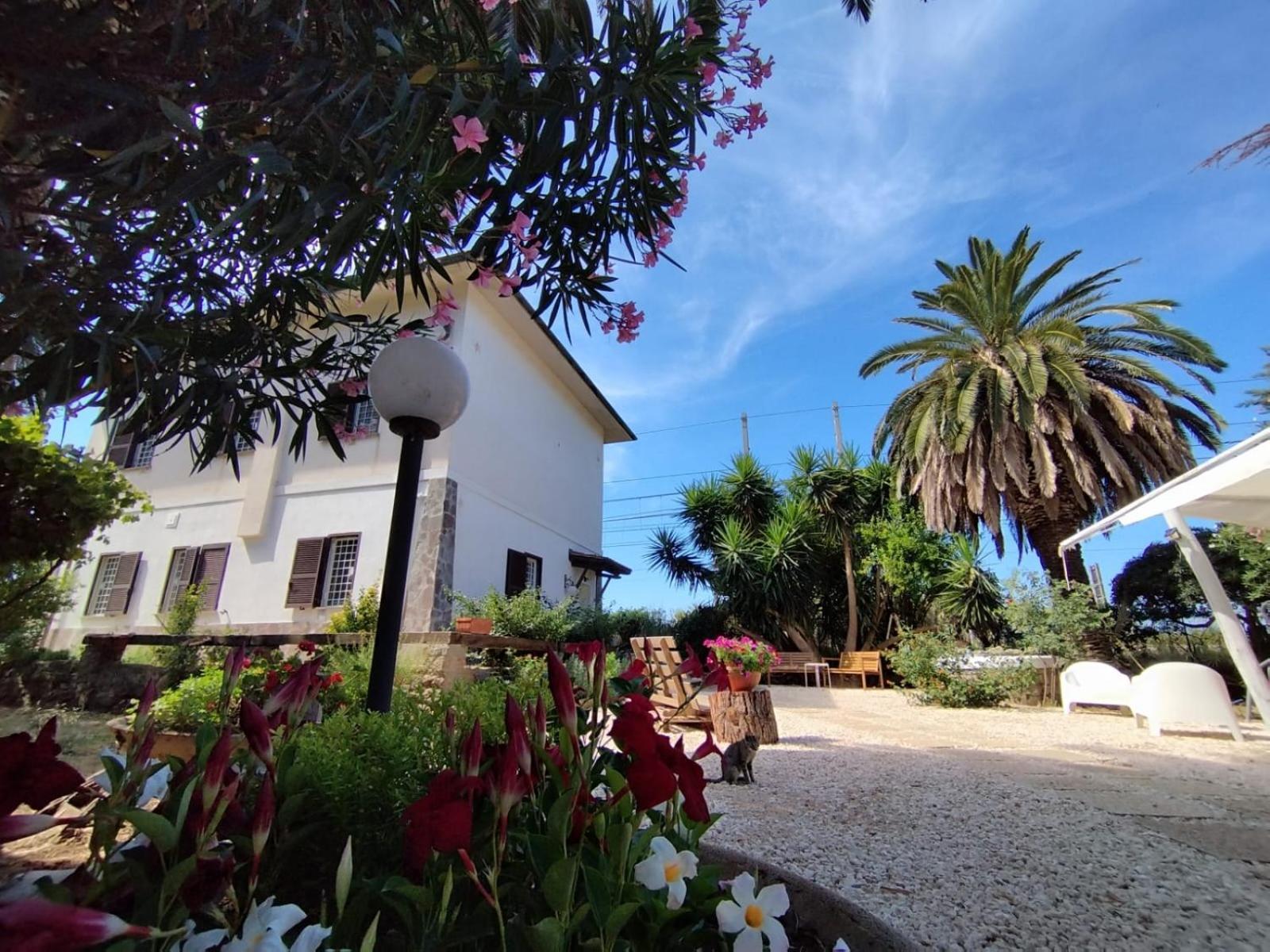 Bed and Breakfast La Domus Di Cosa Ansedónia Zewnętrze zdjęcie